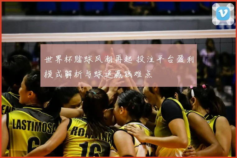 世界杯赌球风潮再起 投注平台盈利模式解析与球迷赢钱难点