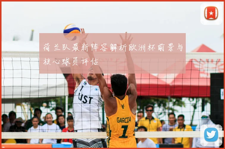 荷兰队最新阵容解析欧洲杯前景与核心球员评估
